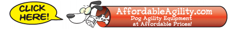 Affordable Agility