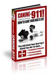 Canine 911 Book