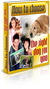 How To Choose The Right Dog