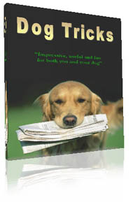 Dog Tricks Book