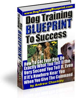 Dog Training Blueprint