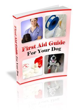 Dog First Aid from Dog Book of the Month Club