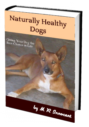 Naturally Healthy Dogs