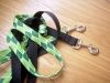 The leash is your most important dog training tool Dog Training requires only a few tools