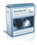 Secrets To Dog Training