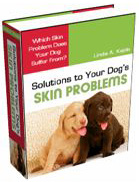 Skin Solutions eBook