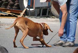 Laying down with elbows touching first
