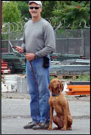 Dog In a Heel Sit Position