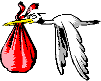 Stork delivering baby