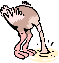 Ostrich With Head in The Ground